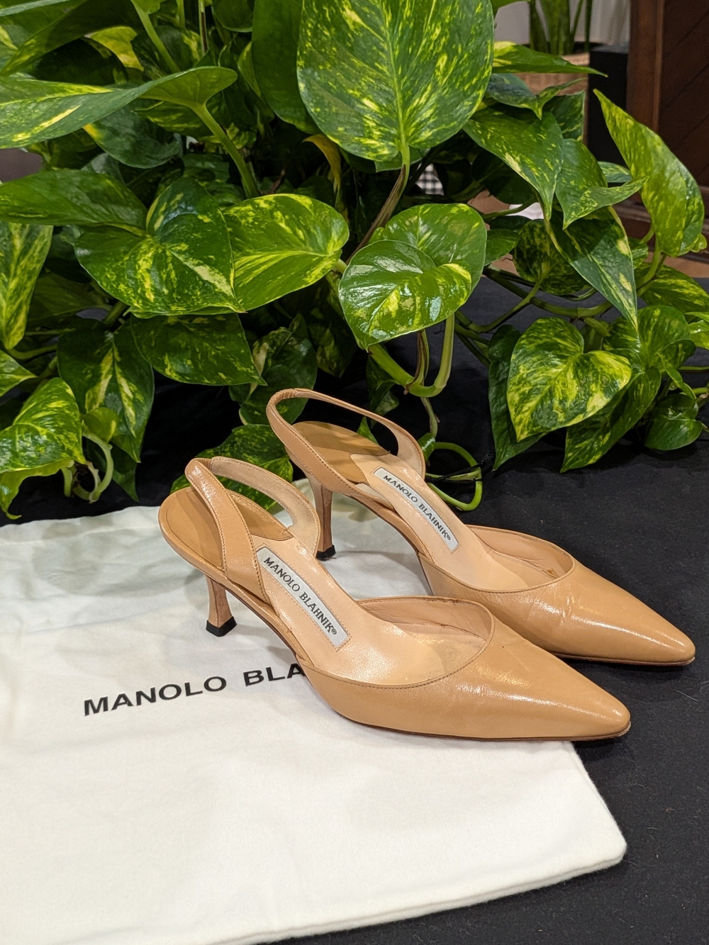 Manolo Blahnik Nude Leather Slingback Pumps
